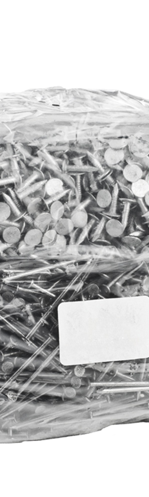 Asfaltnagels verzinkt 3,0 x 15 mm (200st.)