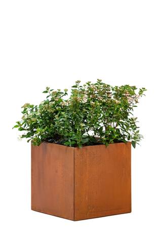Bloembak cortenstaal Hudson 50 x 50 x 50 cm — 1