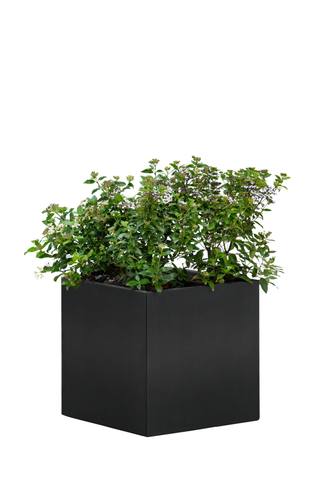 Bloembak Mohawk, zwart gepoedercoat staal 50 x 50 x 50 cm — 1