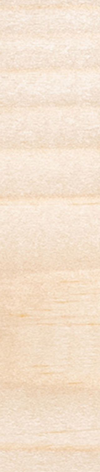 Carefree Protect Kleurloos 1 ltr — 1