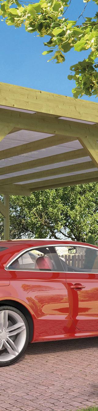 Carport Dubbel met PVC dakplaten vuren groen geïmpregneerd L500 x B600 cm — 1