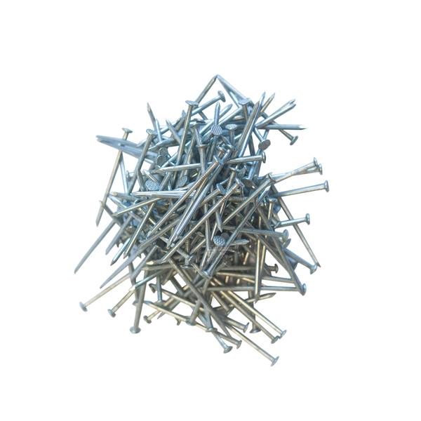 Dakplankspijkers 2,5 x 55 mm (200st.)