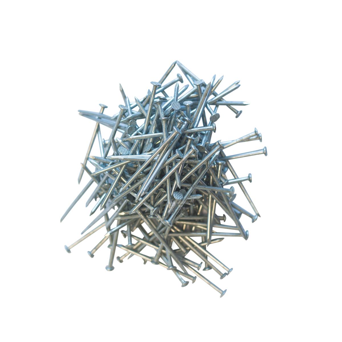 Dakplankspijkers 2,5 x 55 mm (200st.)