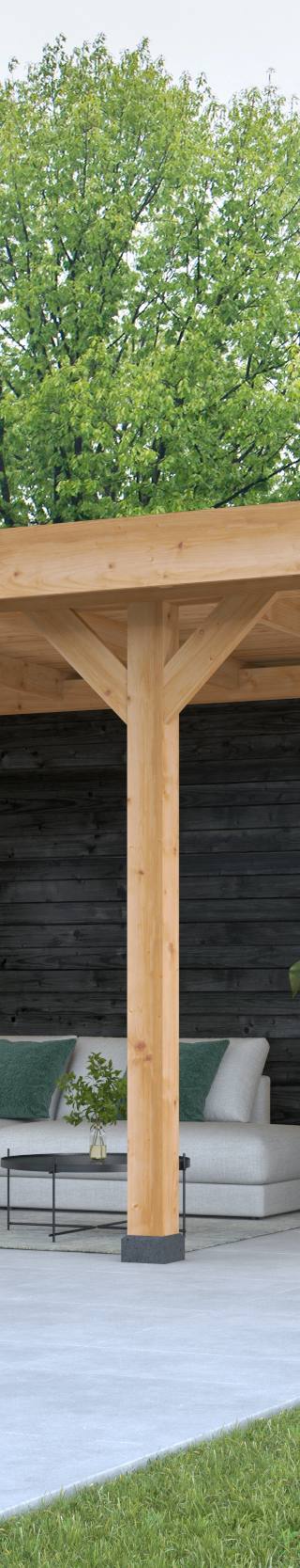 DHZ Plat dak Dalfsen Douglas 600 x 300 cm  zwart geïmpregneerd — 1