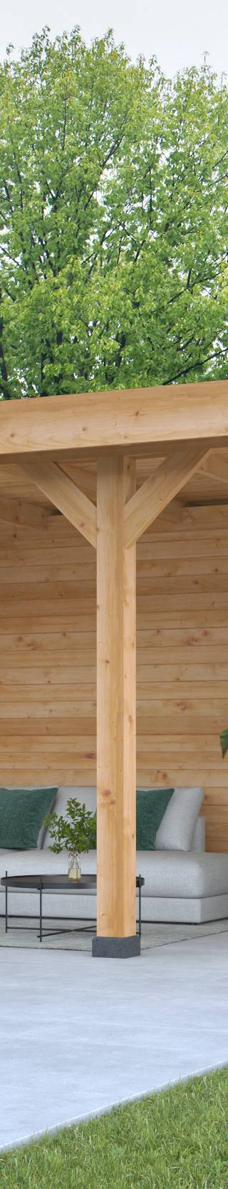 DHZ Plat dak Dalfsen Douglas 600 x 300 cm — 1