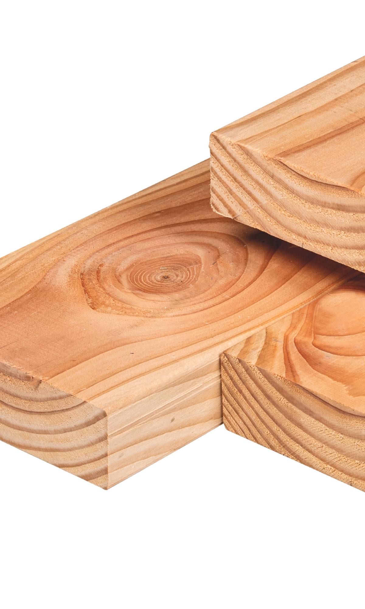 Douglas ligger 6,5 x 19,0 x 300 cm, gedroogd, geschaafd, 4 ronde hoeken