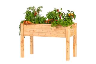Verhoogde moestuinbak, lariks B120 x D60 x H80 cm — 1