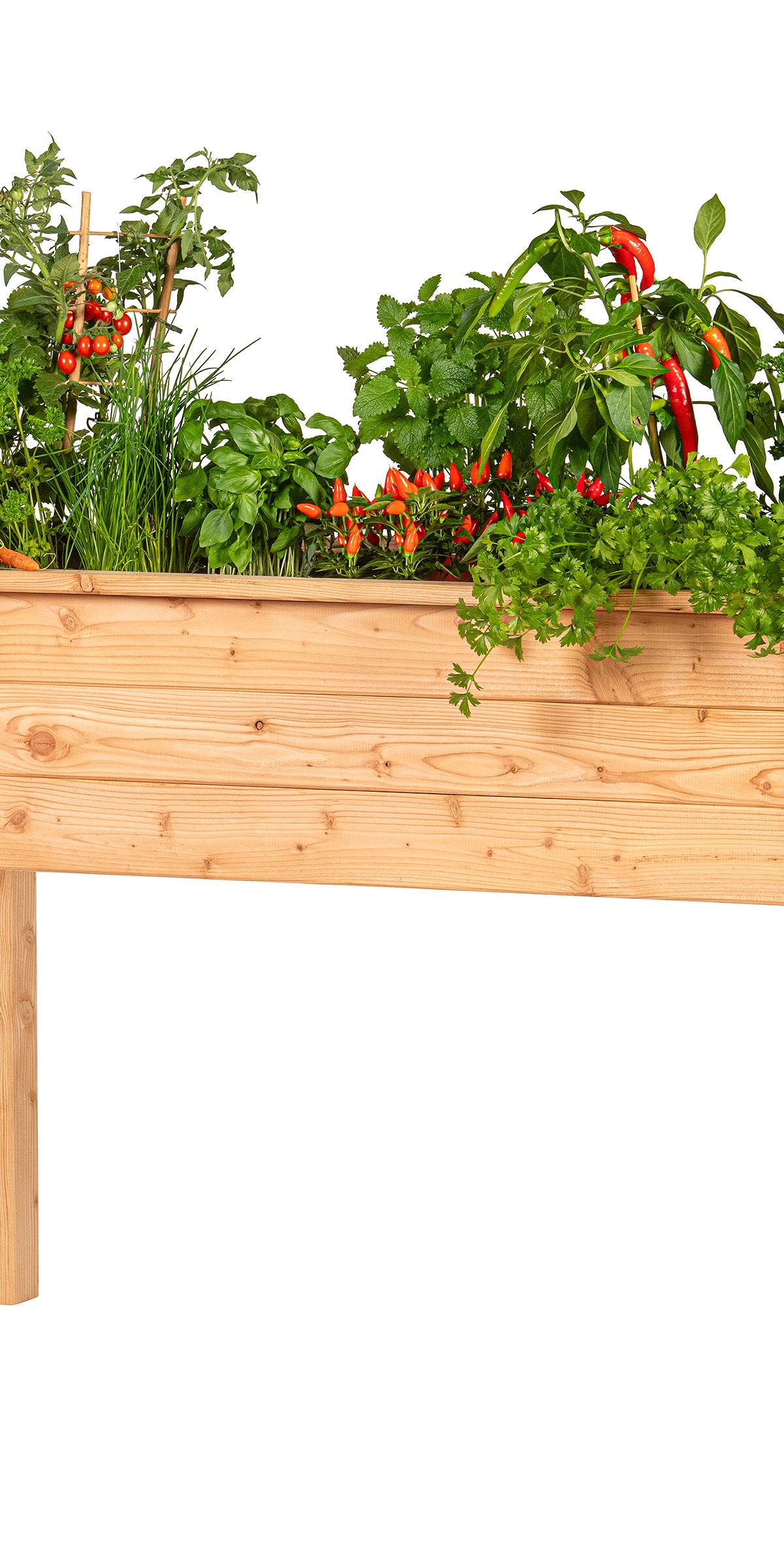 Verhoogde moestuinbak, lariks B120 x D60 x H80 cm
