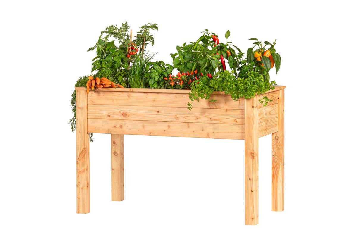 Verhoogde moestuinbak, lariks B120 x D60 x H80 cm